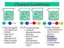 Chemical Equilibrium A B A C B D A B C D 1 4 Ppt Video Online Download Teaching Chemistry Ap Chemistry Chemistry Education
