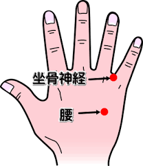 坐骨神経痛に効果的な手や足 足裏 お尻などのツボについて しびれや痛みを伴う坐骨神経痛に悩まされると 歩いてい 坐骨神経痛 坐骨神経痛のエクササイズ 神経痛