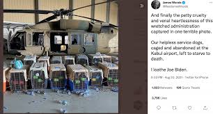 There are reports that as many as 150 dogs were left behind — in cages. Q Sjztnatnymkm