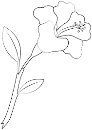 Even though celebrities had easy access entry to studio 54, it was a totally different story for the general public. Coloring Pages Free Hibiscus Coloring Page