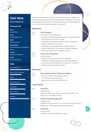 Programmer Resume Examples And 25 Writing Tips