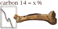 How does carbon dating work. Bbc History Ancient History In Depth The Story Of Carbon Dating
