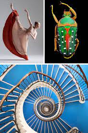 11 Very Different Types Of Photography That Each Illuminate Our World Types Of Photography Body Art Photography Photography Basics