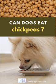 Can Dogs Eat Chickpeas Can Dogs Eat Dog Eating Dog Nutrition