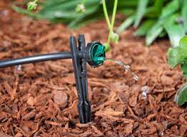 Check spelling or type a new query. Button Drip Emitters Drip Irrigation Dig Corporation