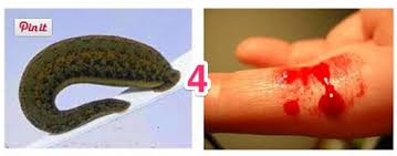 Pasangan yang secocok dan sepadan. Peribahasa Bergambar Melayu Latihan Peribahasa Jawapan