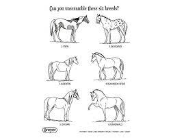 Model and toy horse collections; H Is For Horse Breyerhorses Com