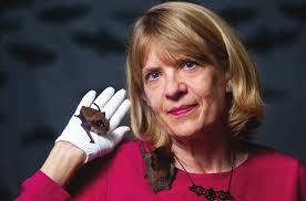 HOW TO REAP THE REWARDS OF URBAN GARDENING