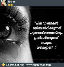 Pin By Farsana On Jichuzz Malayalam Quotes True Quotes Emotional Quotes