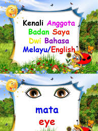 Anggota tubuh manusia dari ujung rambut sampai ujung kaki tentulah sangat banyak. Anggota Badan