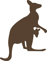 Download Kangaroo Clipart Brown Punxsutawney Phil Png Image With No Background Pngkey Com Kangaroo clipart cartoon vectors (266). pngkey
