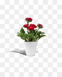 Sketch, refine, and colour your drawing. Flower Pot Png Watercolor Flower Pot Flower Pot Drawing Empty Flower Pot Spring Flower Pot Flower Pot Outline Yellow Flower Pot Cleanpng Kisspng
