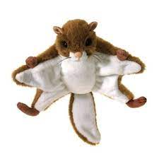 Pin On Squirrel Stuff
