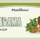 Kokedama Workshop