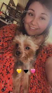 Should I get a male or female Yorkie puppy?