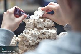 The biggest factor that makes their tanks beautiful. 10 Step By Step Tips To Easily Create A Perfect Reef Tank Aquascape