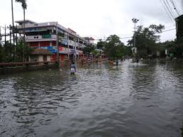 Kerala Flooding Agricultural Impacts And Environmental Degradation The Cabi Blog