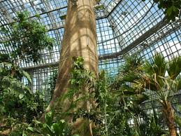 See more of botanischer garten und botanisches museum berlin on facebook. Essen Trinken Nutzliches Welche Personen Sind In Diesen Pflanzen Geehrt 25 01 2020 14 00 15 00 Uhr