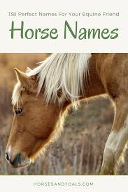 If You Are Still Not Sure Of A Name To Brand Your Horse Then This Article Has Got You Covered We Have Put Forward A Long L Horse Names Best Horse