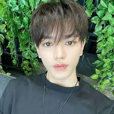 NCT HAECHAN INTERNATIONAL FANCLUB(LEE DONGHYUCK  OUR FULL SUN  )