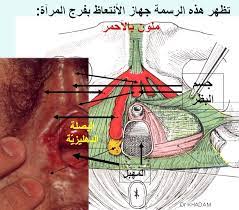تلسكوب حلو بعد ذلك اغماء النساء عند اللقاء الجنسي consultoriaorigenydestino com