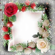 Pin By Vitori Gjata On Frames Flower Frame Rose Frame Birthday Frames