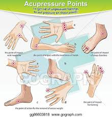 Vector Illustration Massage Therapy Acupressure Points