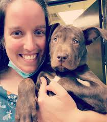 I am just one adorable puppy don't you think? My name is Oatmeal and I am  part of the Brunch Litter. I am a “special needs puppy ”as I was born blind.