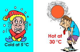Temperature Think Metric