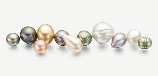 Check spelling or type a new query. How Much Are Pearls Worth Find Out Jewelryjealousy