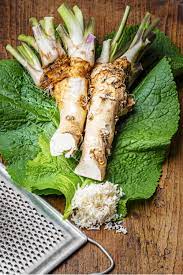 Maybe you would like to learn more about one of these? Does Horseradish Go Bad How Long Does It Last