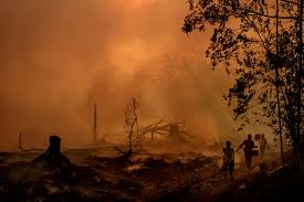 What he deserved or not doesn't matter, the second lot of people are now also guilty of assault and maybe attempted murder also. Palm Oil Was Supposed To Help Save The Planet Instead It Unleashed A Catastrophe The New York Times