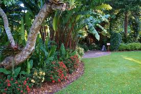 Ixora Under Heliconia Cairns Botanical Garden Dream Backyard Garden Garden Landscaping Family Garden