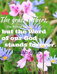 Your favorite blooms — from roses and peonies to lilies and daisies — send specific messages. Pin On Prayer Garden Bible Verses Devotions