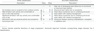 Varsta, clasa nyha, comorbiditati (precum insuficienta renala, diabetul zaharat, anemia, hiperuricemia), etiologia, fractia de ejectie a ventriculului stang, nivelul plasmatic al peptidului natriuretic. Ce Impact Are InsuficienÈa CardiacÄ Asupra Pacientului Raportul De GardÄ