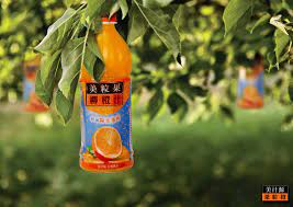 廣告設計作業 美粒果創意戶外廣告 dish soap bottle soap bottle soap