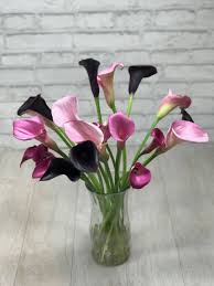 Hotels near west hollywood limousine. Flowers Seem Intended For The Solace Of The Ordinary Humanity Johan Ruskin Flowers Picori Best Flower Delivery Flower Delivery Beautiful Flower Bouquet