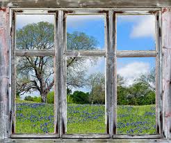 The four openings measure 5.5 inches by 7.5 inches. Country Spring Vista With Texas Bluebonnets Seen Through An Old Rustic Window Frame Stock Photo Picture And Royalty Free Image Image 24022604