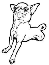 Download and print free chihuahua coloring pages to keep little hands occupied at home; Funny Chihuahua Coloring Page Free Printable Coloring Pages For Kids