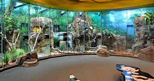 Indoor Space Tierlebensraume Reptilien Terrarium Streichelzoo