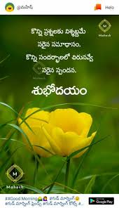 Pin By Deswarachandravidyasagar On Good Message Happy Good Morning Quotes Telugu Inspirational Quotes Good Morning Inspirational Quotes