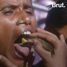 Every year lakhs of people queue up in Hyderabad for this special cure. Do  not try this at home. 🐟