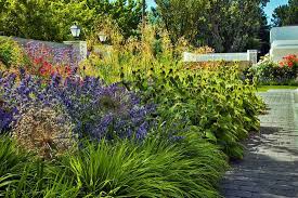 Check spelling or type a new query. Diseno Jardin Seleccion Plantas Obra Jardineria Madrid Planta Paisajistas