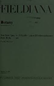 Image result for Nectaropetalum carvalhoi