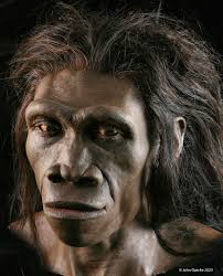 What is the point of species transition?