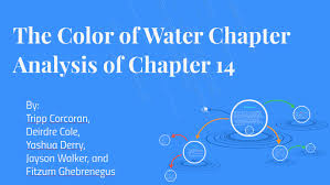 For either essay question, you must use quotes from the text to support your responses. The Color Of Water Chapter Analysis Of Chapter 14 By Tripp Corcoran