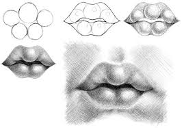 Drawspace Com Lessons Lesson P13 Baby Face Drawing Lips Drawing Baby Drawing