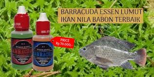 Essen Lumut Ikan Nila Babon Kualitas Terbaik Dari Essen Barracuda Yang Sudah Teruji Ampuh Dengan Aroma Khas Yang Dapat Menin Dish Soap Bottle Lumut Soap Bottle