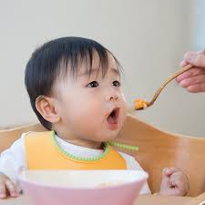 Resep Mpasi Untuk Bayi Usia 12 18 Bulan