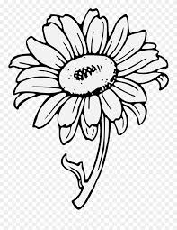 Free Download Sunflower Clipart Common Sunflower Clip Sunflower Clipart Black And White Png Download 5304114 Pinclipart